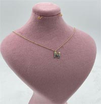 گردنبند N آبی